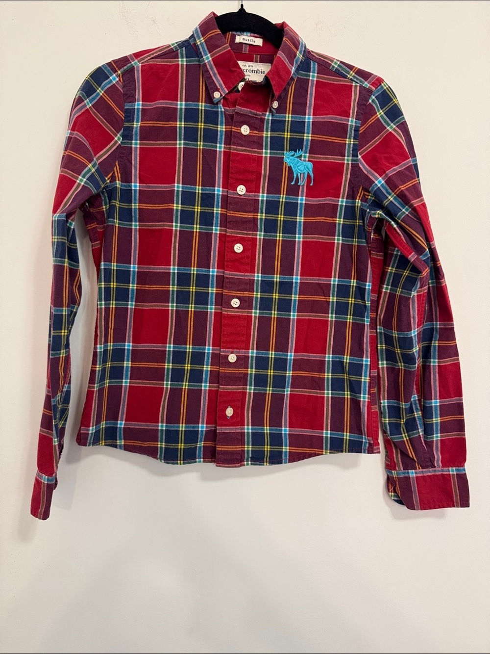 abercrombie kids Red & Blue Plaid Button-Down Shirt